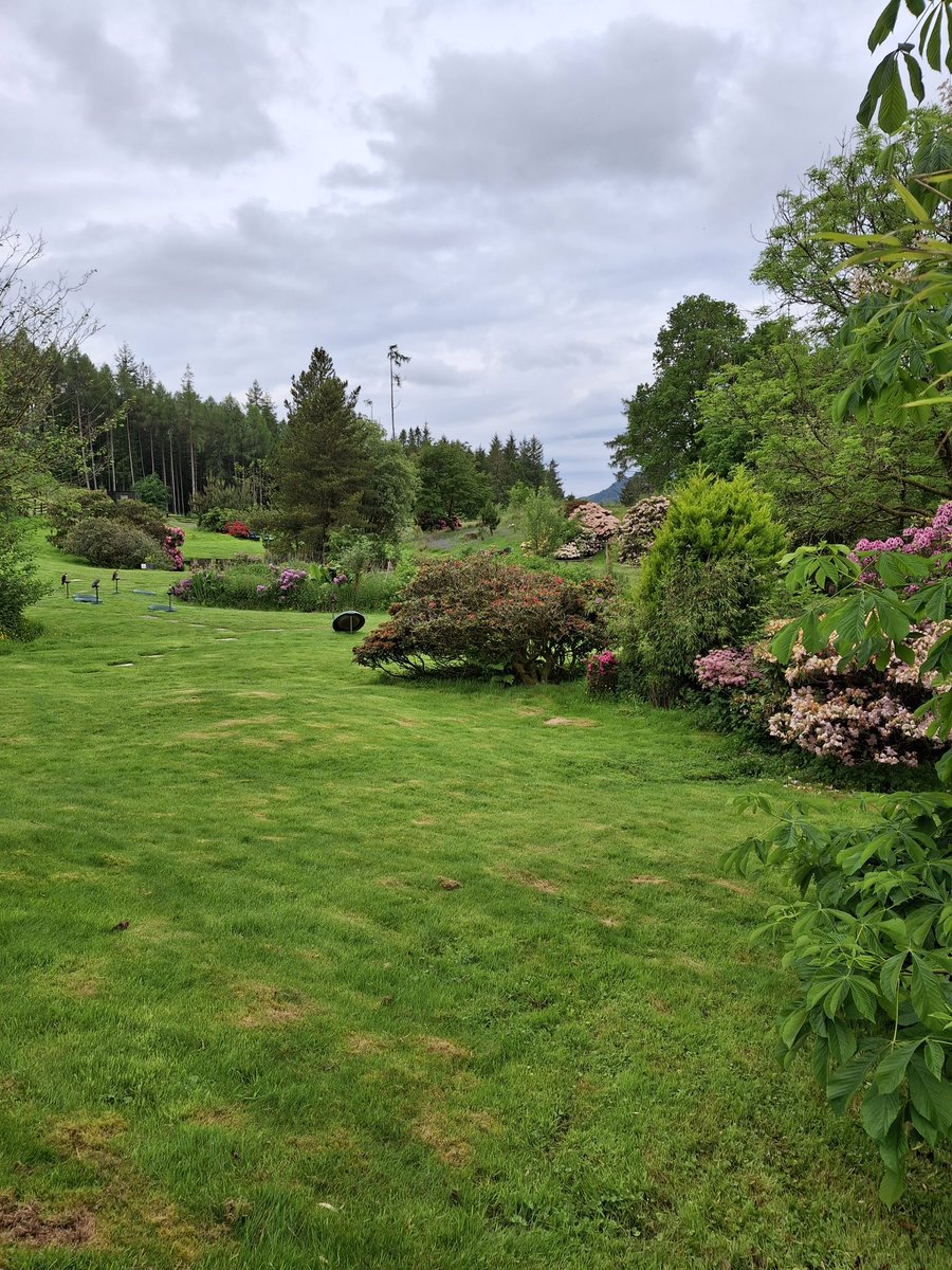 Thought the rain was coming today with the black clouds looming but turned out a cracker. #lochawe #lochawefalconry #falconrylochawe