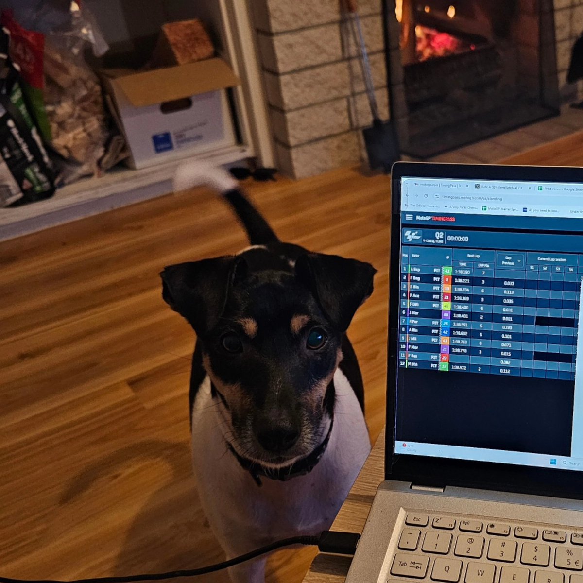 AdamsKateMa's tweet image. Little dude hasn't left my side since I got home 🐶

#pupper