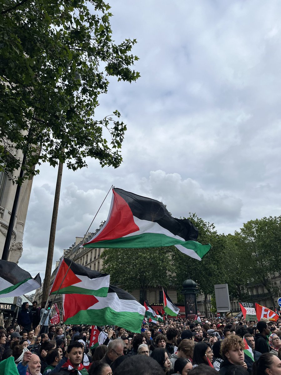 nephraison's tweet image. palestine vaincra 🇵🇸