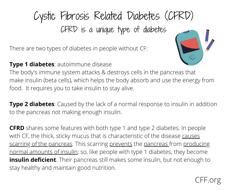 People with CF can get a unique type of #diabetes, cystic fibrosis related diabetes or #CFRD
.
.
.
#CureCF #CF #cysticfibrosis #sixtyfiveroses #65roses #comorbidities #Support #Educate #Hope
