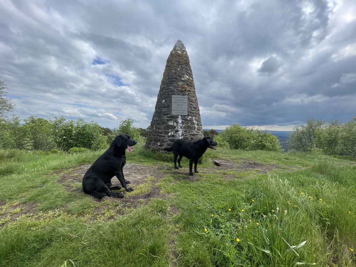 Susan_Venables's tweet photo. #BankHoliday #DogWalk to #CallanderCrags #Scotland. Beautiful, peaceful &amp; very therapeutic after a busy week. Hope everyone enjoyed the break, if you got one, so hope these pictures bring a smile #StaySafeStayHealthy everyone 🙏🐾🐾⛰️🌞 https://t.co/TpPFr7v9nA