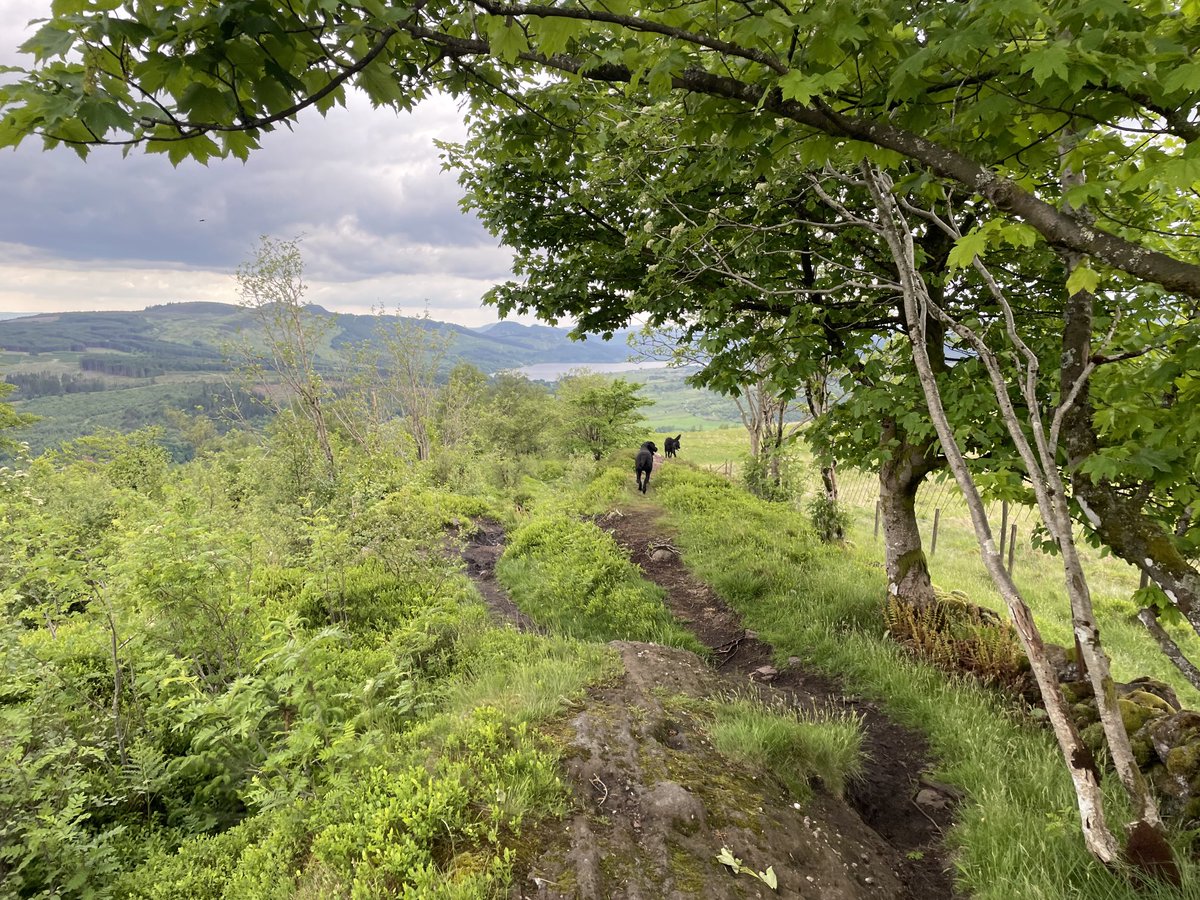 Susan_Venables's tweet photo. #BankHoliday #DogWalk to #CallanderCrags #Scotland. Beautiful, peaceful &amp; very therapeutic after a busy week. Hope everyone enjoyed the break, if you got one, so hope these pictures bring a smile #StaySafeStayHealthy everyone 🙏🐾🐾⛰️🌞 https://t.co/TpPFr7v9nA