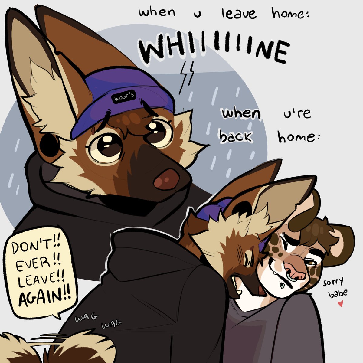 ramahuro's tweet photo. canine gfs: https://t.co/94hMDTxVir
