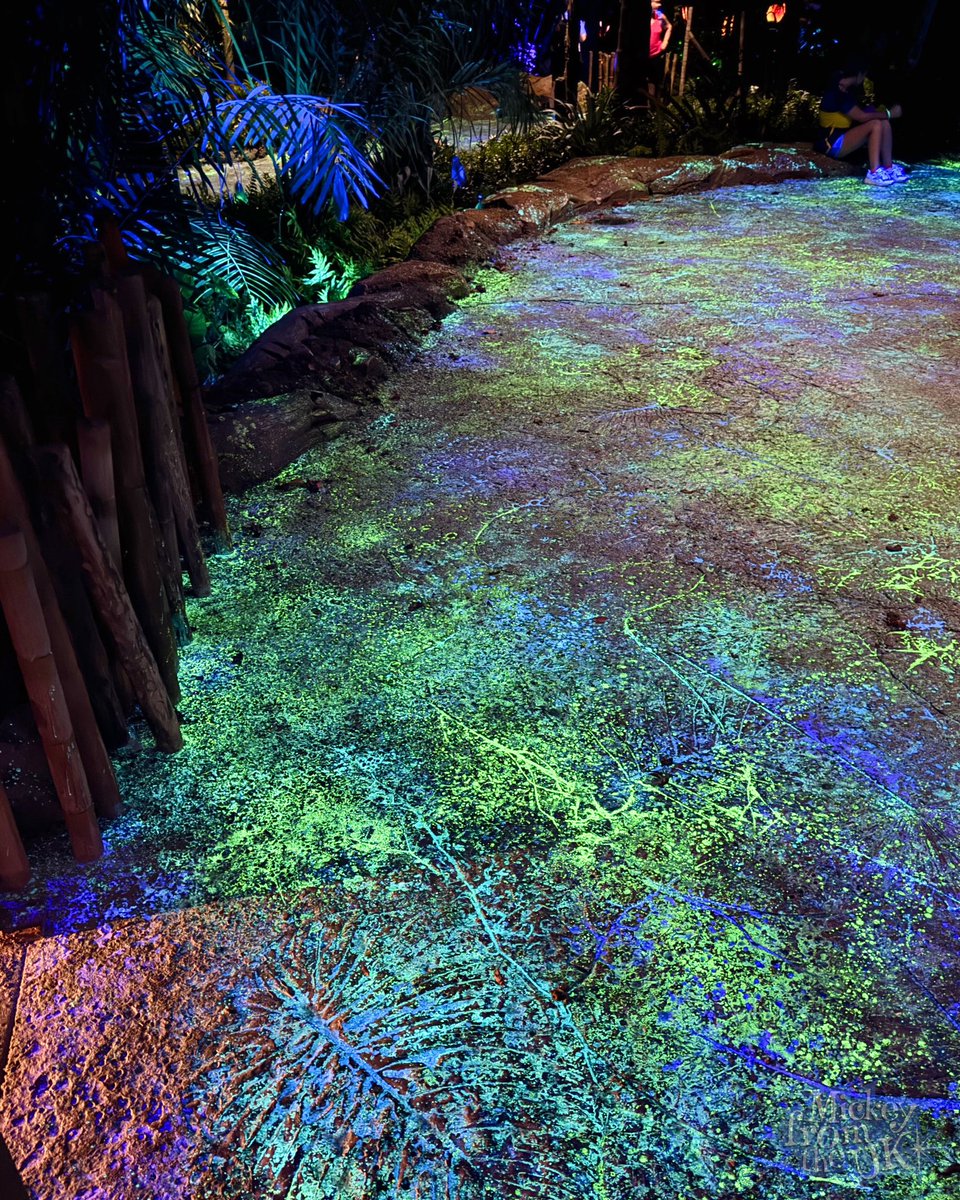 The stunning bioluminescent floor inside Pandora - The World Of Avatar,  Disney’s Animal Kingdom, at night!

#disneyworld #waltdisneyworld #disneyparksuk #disneyparks #disneyuk #animalkingdom #disneysanimalkingdom #pandora  #avatar