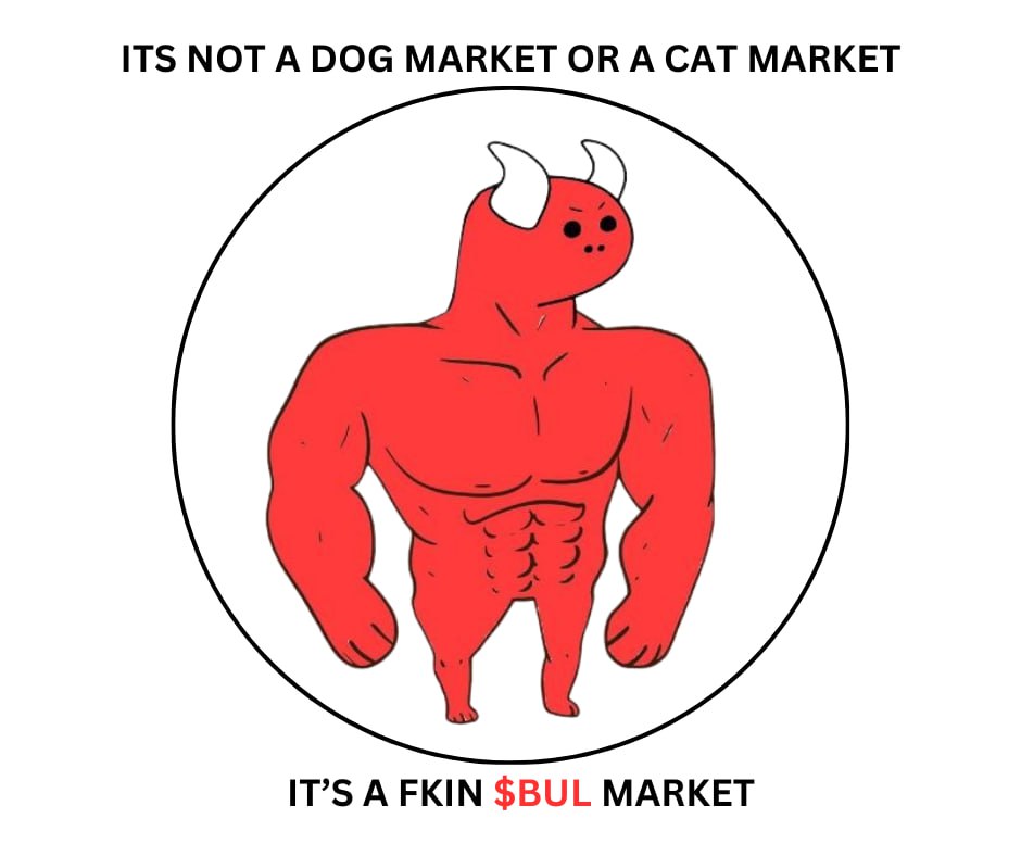 Zackbagz's tweet photo. @shahh Please no more dogs, cat's, frogs, and def no more celebs! $Bul is the ticker! https://t.co/D31kS1oNm1