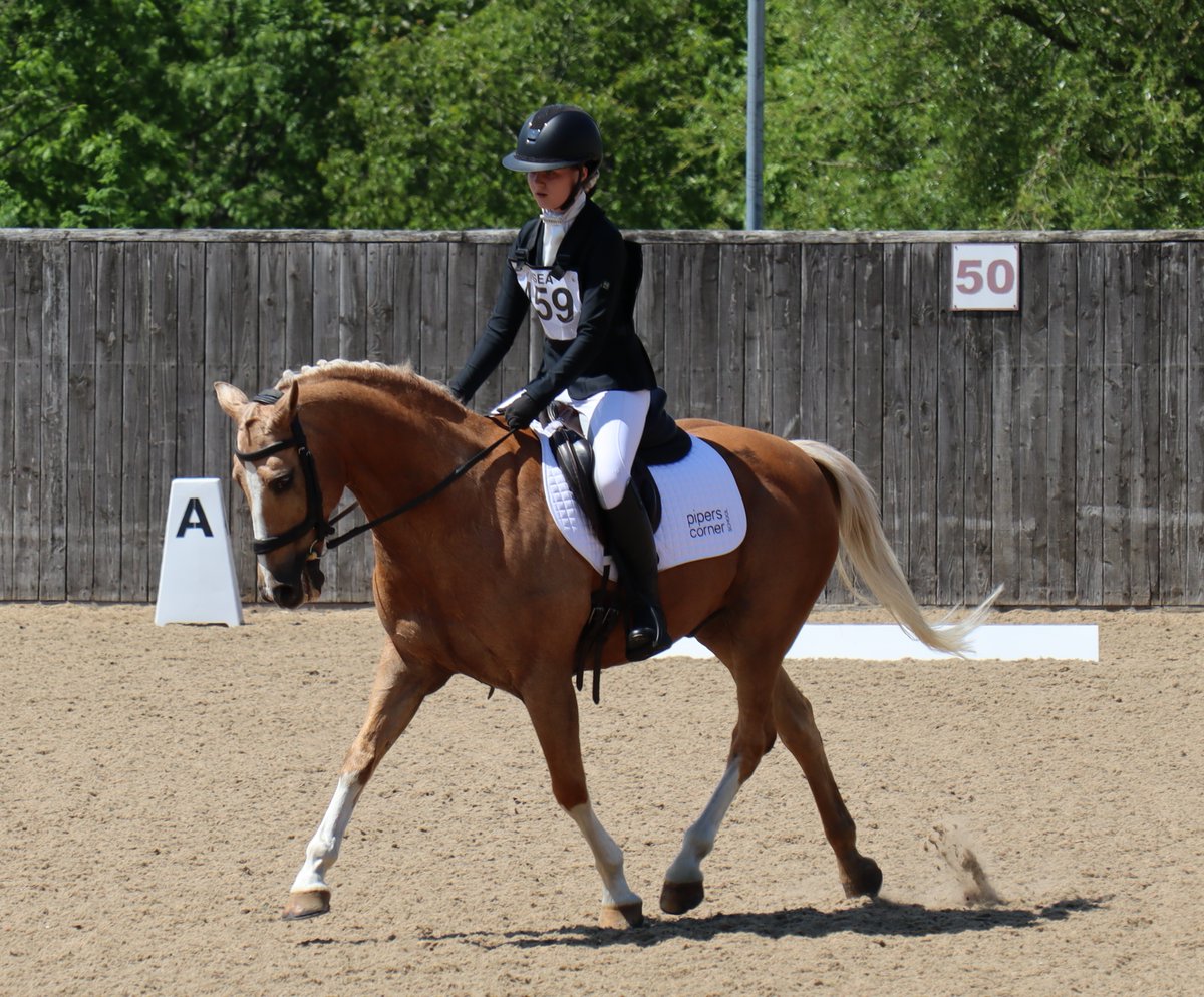 Pipers Equestrian tweet media