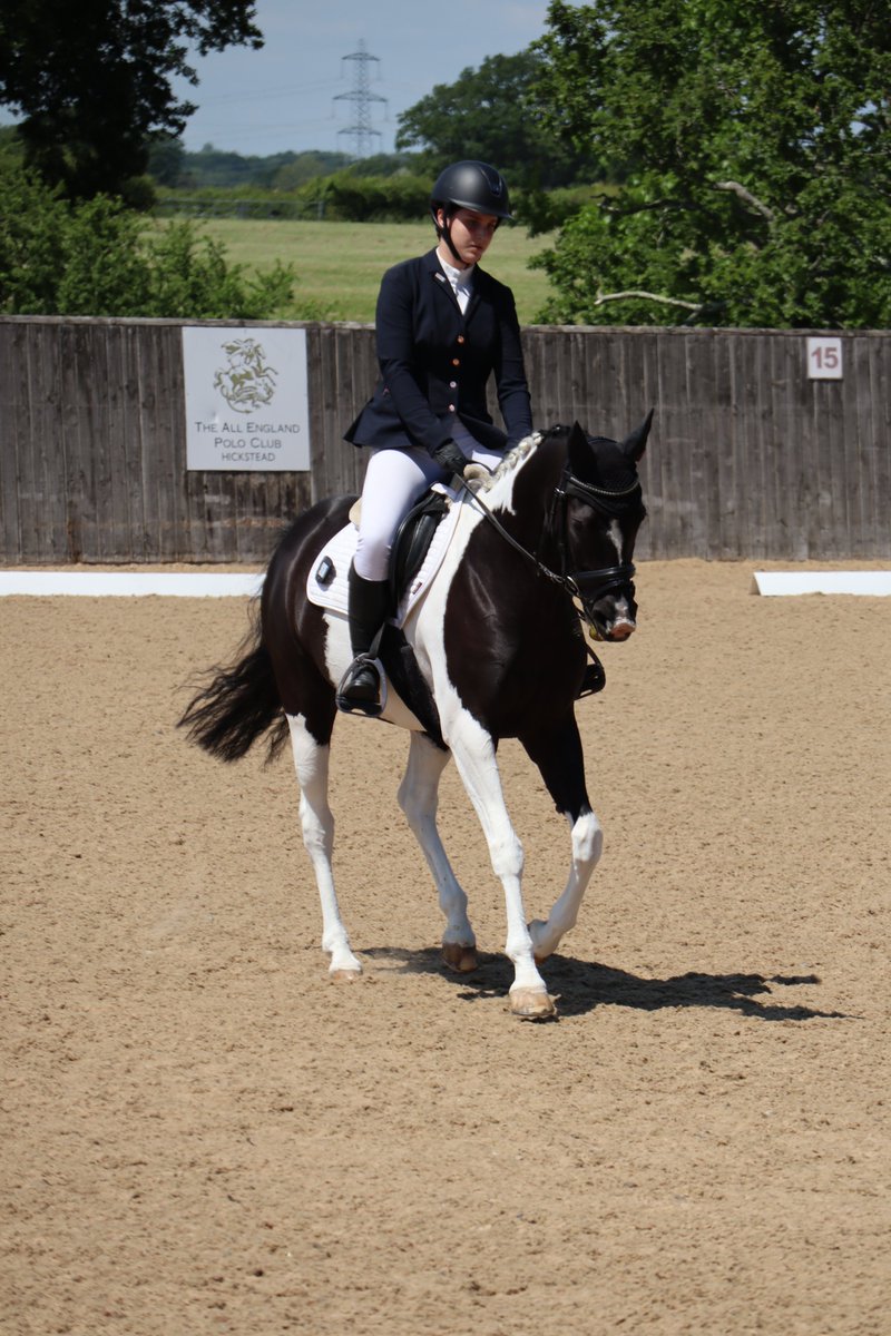 Pipers Equestrian tweet media