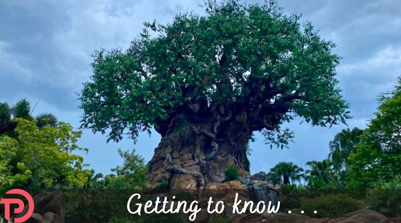 ICYMI:DAS has had some changes recently ... here's what you need to know to apply at Disney World. touringplans.com/blog/how-to-ap…