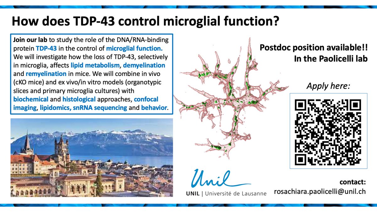 Are you looking for a #postdoc position in #microglia biology? Interested in understanding how #TDP43 controls microglial function and #lipid handling in models of #demyelination and #remyelination? Consider applying to our lab and join us in #Lausanne! fens.org/careers/job-ma…