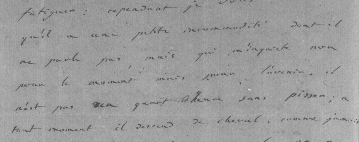 Talleyrand à Joseph, sur la santé de Napoléon (1803) : « il n'est pas un quart d'heure sans pisser ; à tout moment il descend de cheval. Comme jamais personne ne l'a questionné sur cela, on ne sait à quoi cela tient ».