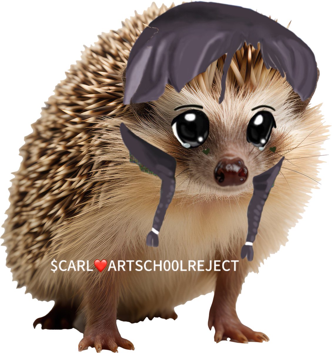 Carl The Hedgehog tweet media