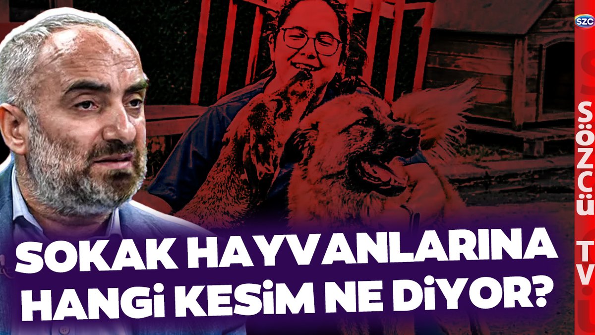 'Hayvanseverlerin Gücü Yetmez' İsmail Saymaz'dan AKP'nin Sokak Hayvanları Teklifine Olay Yorum @ismailsaymaz @BelovacSerap youtu.be/krxuGVk9cQo