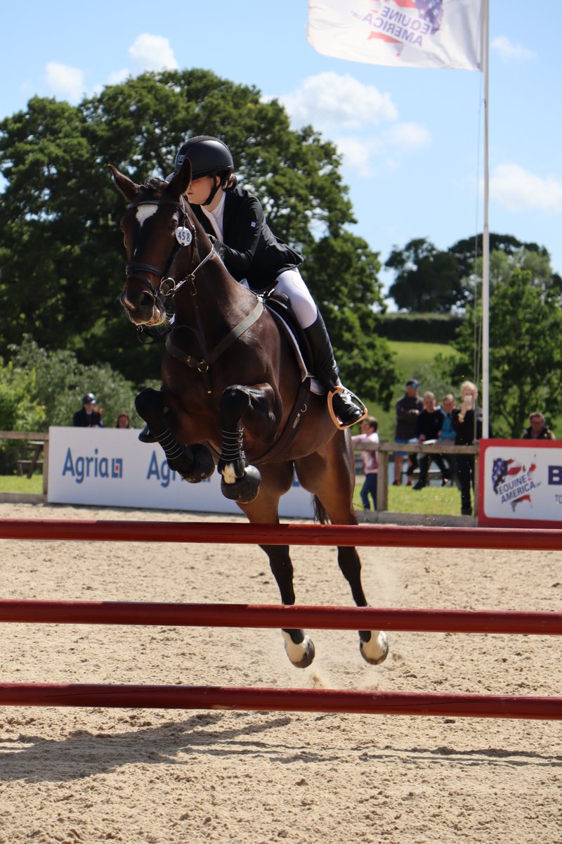 Pipers Equestrian tweet media