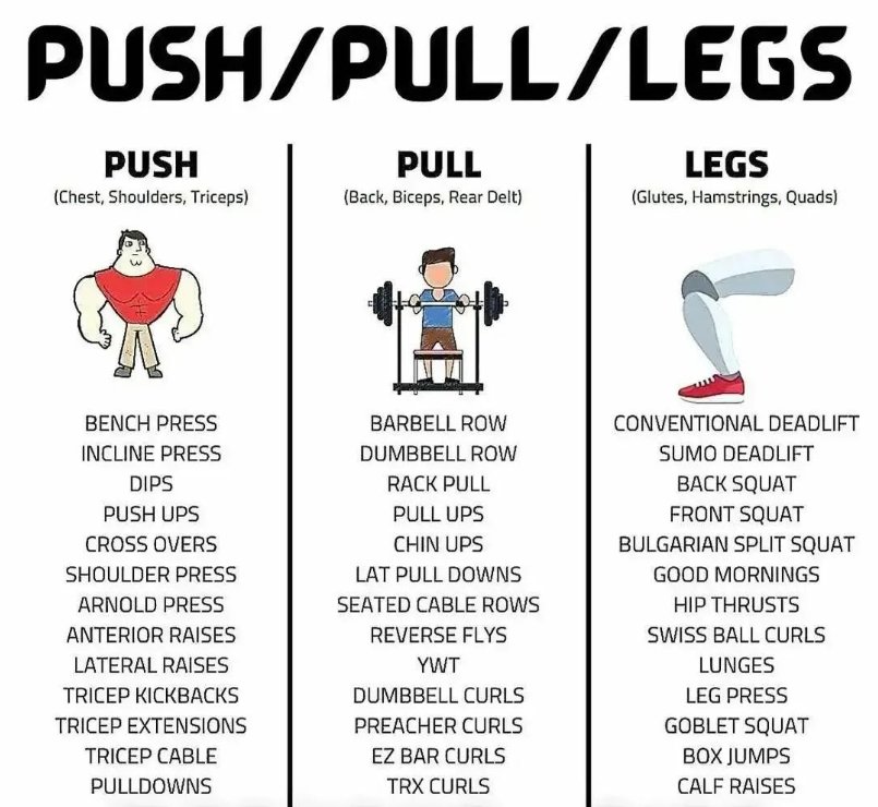 Push pull leg workout at home sale