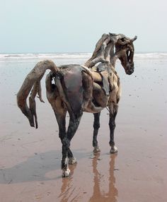 Beautiful Horse driftwood sculpture.🐎🤎