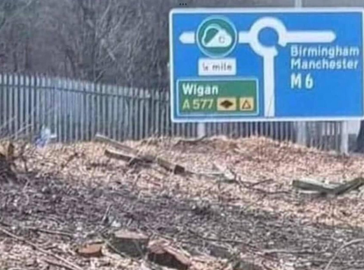 Chopping down trees so a new sign can be seen to warn you that you’re about to get fined for driving into a ‘clean air zone’. It’s definitely about the air quality and nothing to do with money at all, isn’t it…………….