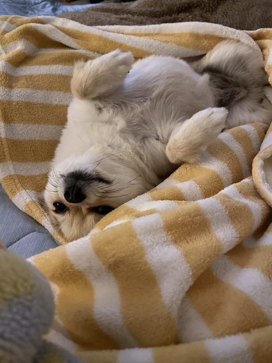 火曜日、起きましょう。