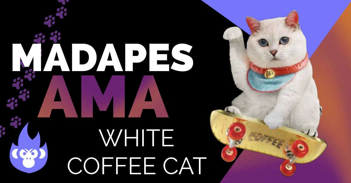 MadApes AMA With White Coffee Cat!

AMA coming soon with White Coffee Cat!
Community rewards like always! 🎁
 
📍 Where: t.me/mad_apes
📅 When: Tuesday 9 PM UTC
🔈 t.me/mad_apes

$WCC #WCC $SC #SC #whitecoffeecat #sharkcat $cat #cat #solgems #1000x