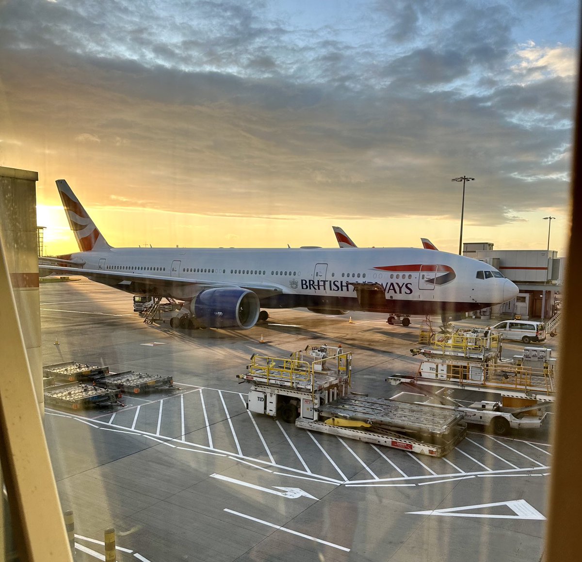 Roni Shmilovich tweet media