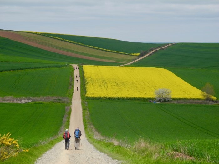 #caminotuesday suggestion for the fifth anniversary. Pilgrims could post their photo of this km of the #caminofrances
<a href="/AnneEBailey1/">Dr Anne E Bailey</a>