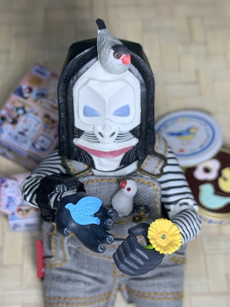 hoyuchen's tweet photo. 怪獸與玩具玩家的應援
鳥のいろ生活只有文鳥與十姐妹⋯⋯
#青鳥 #太陽花 #ダダ https://t.co/Vl3I8u4NOj