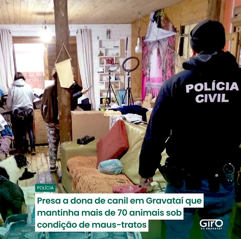 🚨Presa a dona de canil em Gravataí que mantinha mais de 70 animais sob condição de maus-tratos A acusada, de 42 anos, foi presa em flagrante pela Polícia Civil. Animais viviam em condições insalubres, e até mesmo em meio a outros animais já mortos. (Via Giro de Gravataí)