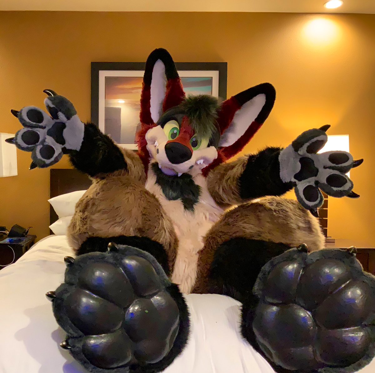 Yotes are preparing for tests so here’s a deceptively adorable picture for #morefurlessminday. We aren’t sly tricksters… no not at all… get that thought out of your head!

🐕 @MoreFurLess