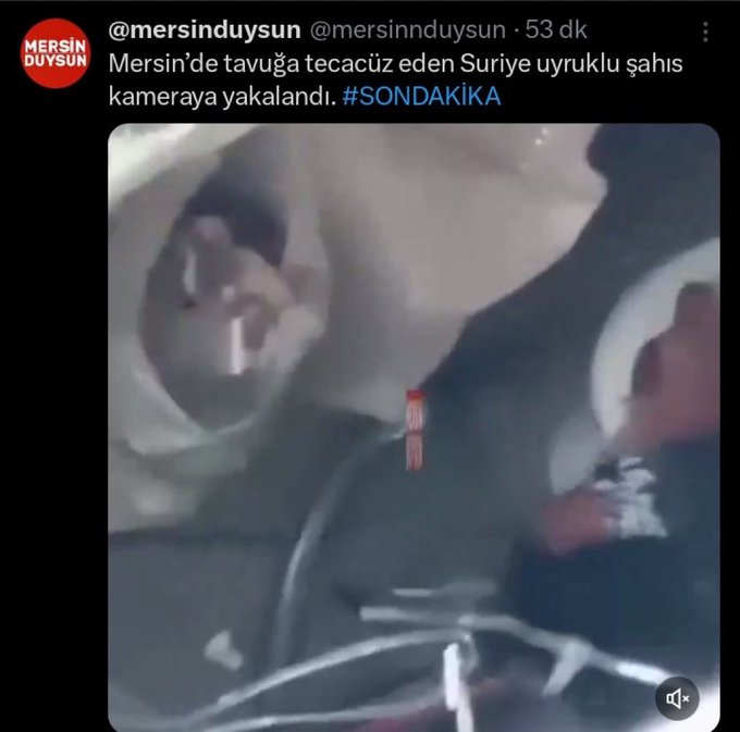 Mersin'de tavuğa tecavüz ederken yakalanan şahıs Suriyeli imiş. Lakin Suriyeli olduğundan çoğu haber sitesi bahsetmiyor bile. 
Neden lan? Neden Suriyeli olduğunu yazmıyorsunuz fonlanmış köpekler?