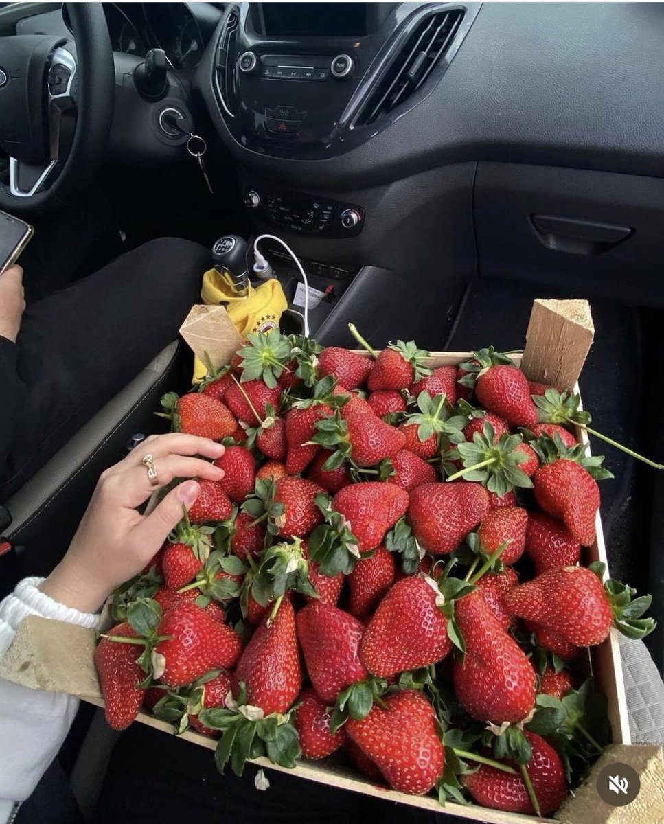 Biz Mekke’ye giden otobüsü mü taşladık,zemzem suyuna rakı mı kattık?