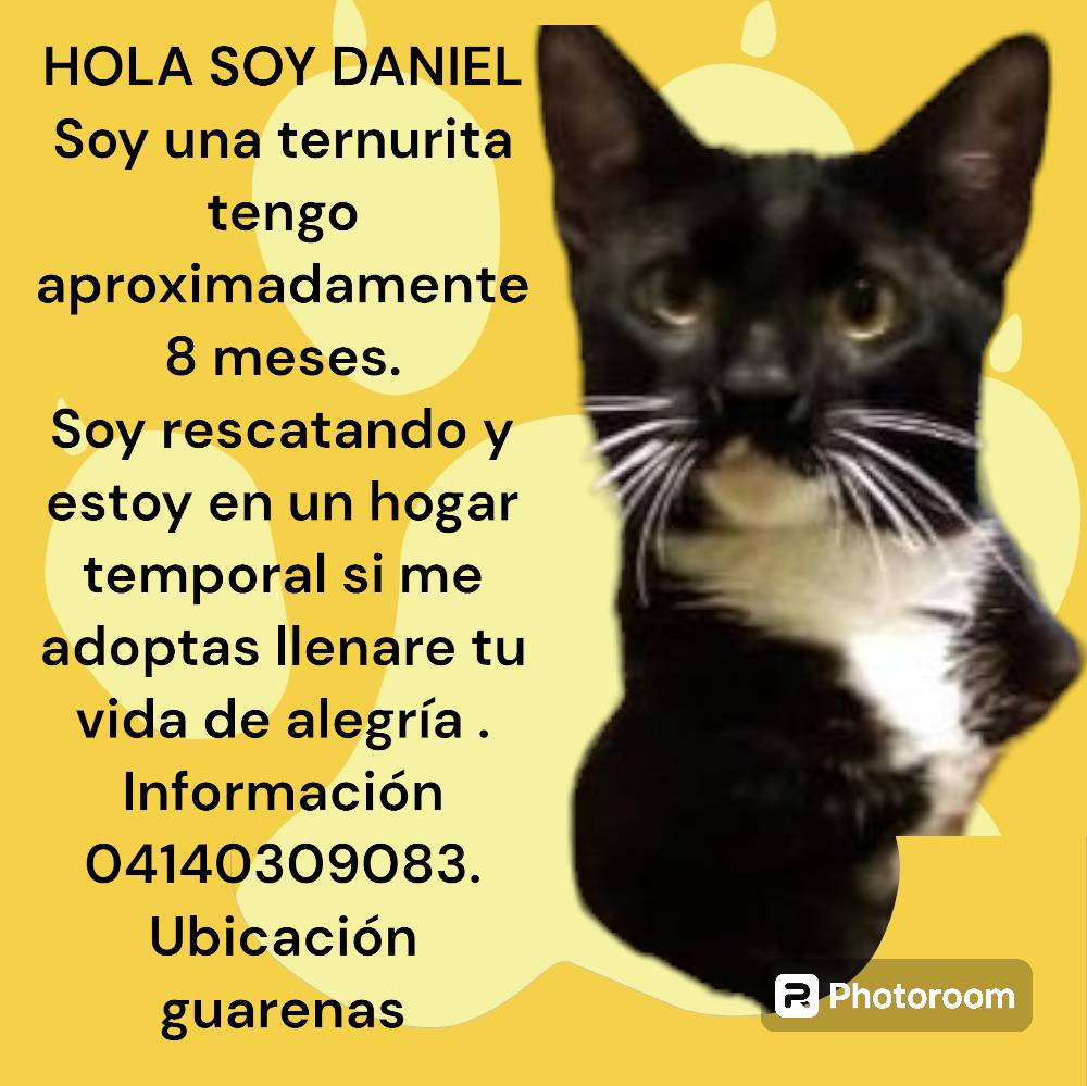 Daniel está buscando una bonita familia para entregarle su cariño y corazón, Guarenas