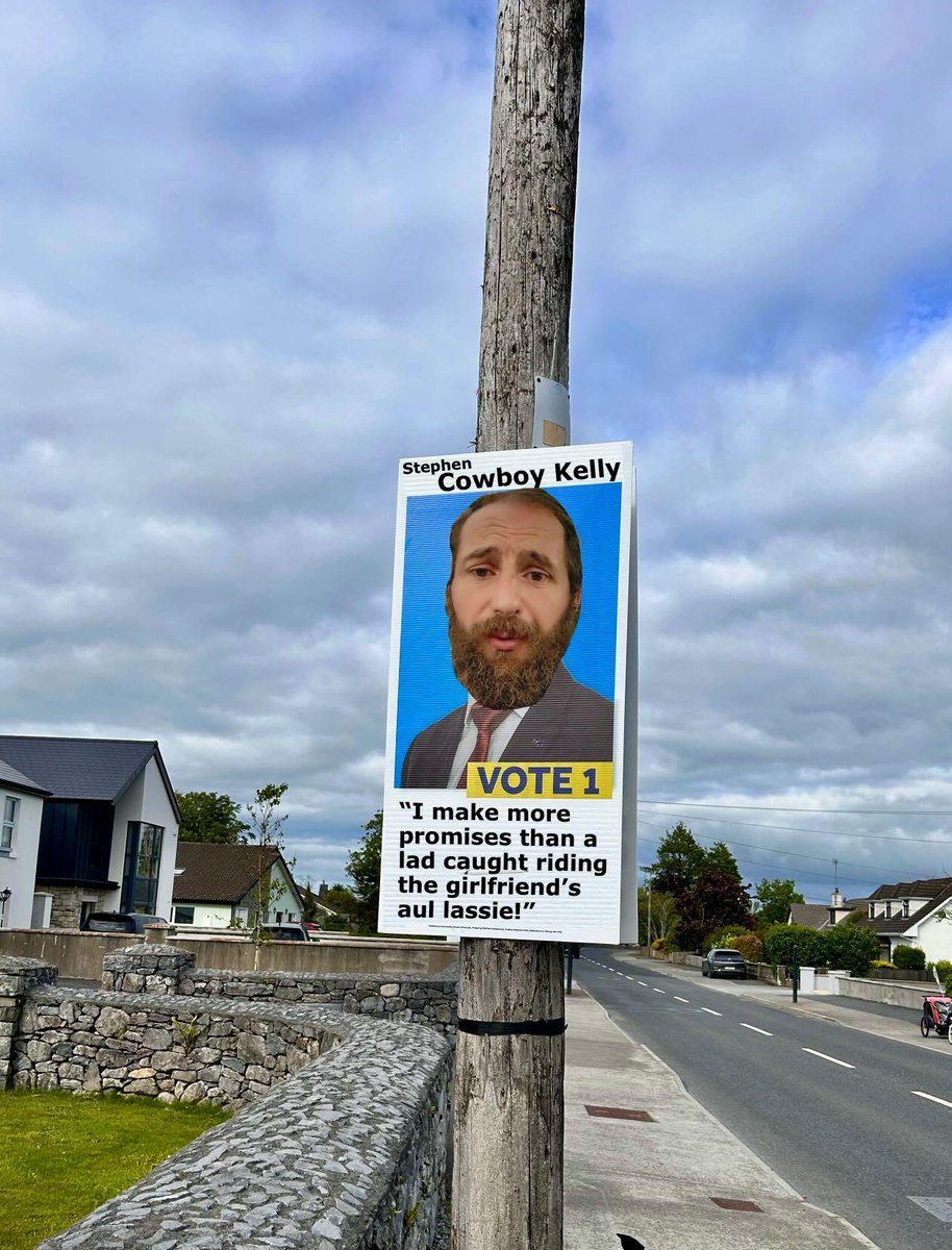 Spotted In Strokestown! Going to spend the next few weeks polling the electorate along side my 'member' of staff... Would you give me 1?