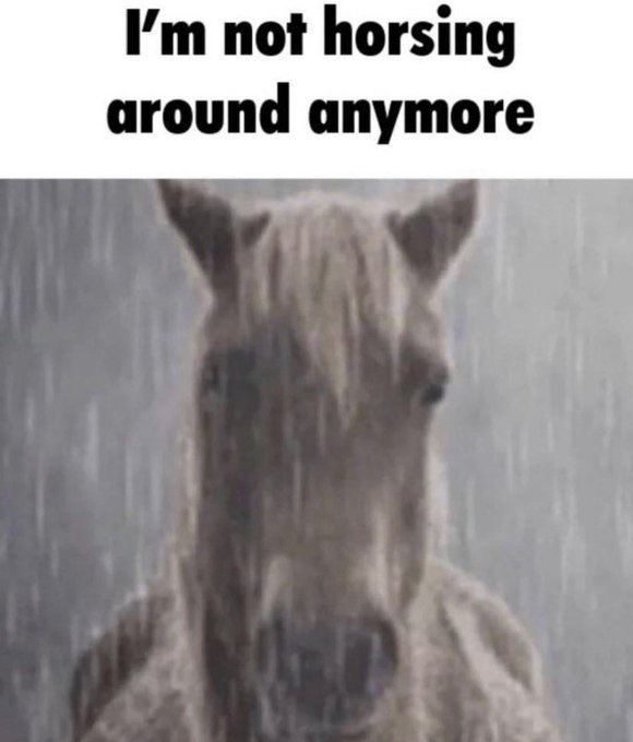 ShitpostGateway tweet media