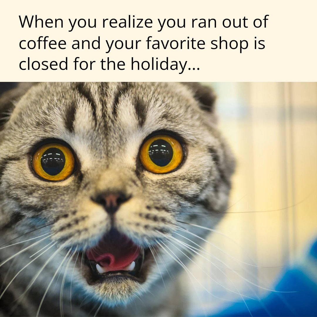 Don't let this be you! Order Encantado Coffee at EncantadoCoffee.com 

#coffee #specialtycoffee #coffeelover