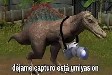 Embeses le digo a Diosito que me cuide y proteja porque estoy muy pendeja, después recuerdo que Diosito está en mi cabeza que es parte de mí.