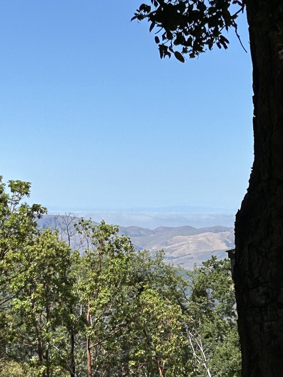 Afternoon calming break, Santa Lucia mountains. May 27 #CAwx