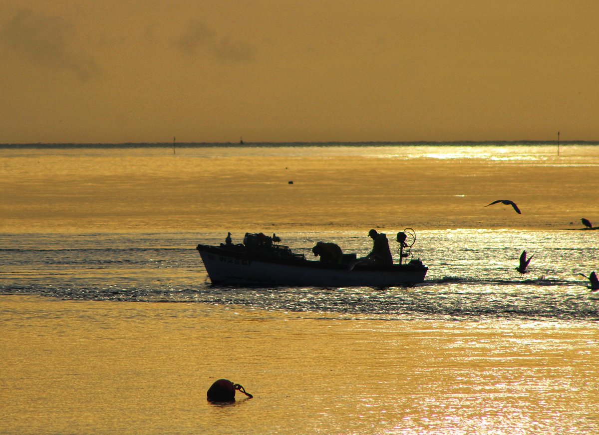 Fishermen in Dungarvan Bay, Co Waterford at sunrise. @AimsirTG4 @barrabest @deric_tv @DiscoverIreland @GoToIreland @discoverirl @ancienteastIRL @Failte_Ireland @WaterfordANDme @Waterfordcamino @WaterfordCounci @WaterfordGrnWay @VisitWaterford @wlrfm @WaterfordPocket @DungarvanTIO
