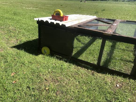 Tatties / Pasture Pen / Dead calf dlvr.it/T7TFGX