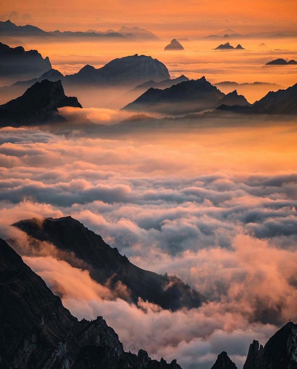Above the clouds in the Swiss Alps 🇨🇭