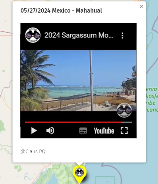 May. 27 th 2024 #Mexico #Mexique #Mahahual Check out all the pictures of the day on the map 2024 here : sargassummonitoring.com/en/official-ma… #sargassum #sargasso #sargazo #sargasses #sargassummonitoring #SurveillancedesSargasses #MonitoreodeSargazo #RivieraMaya #sargassumseaweedupdates