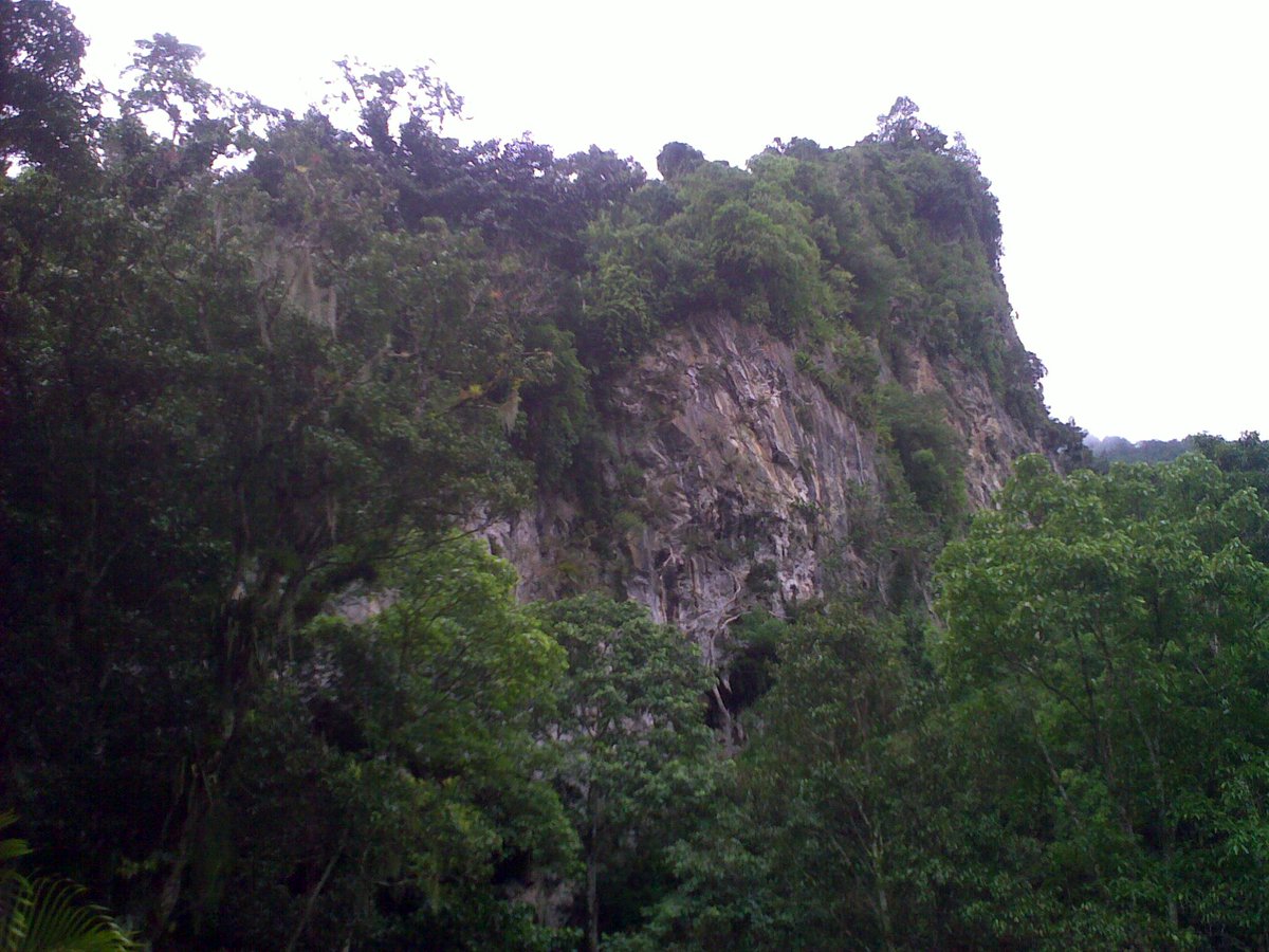 BioParques tweet media