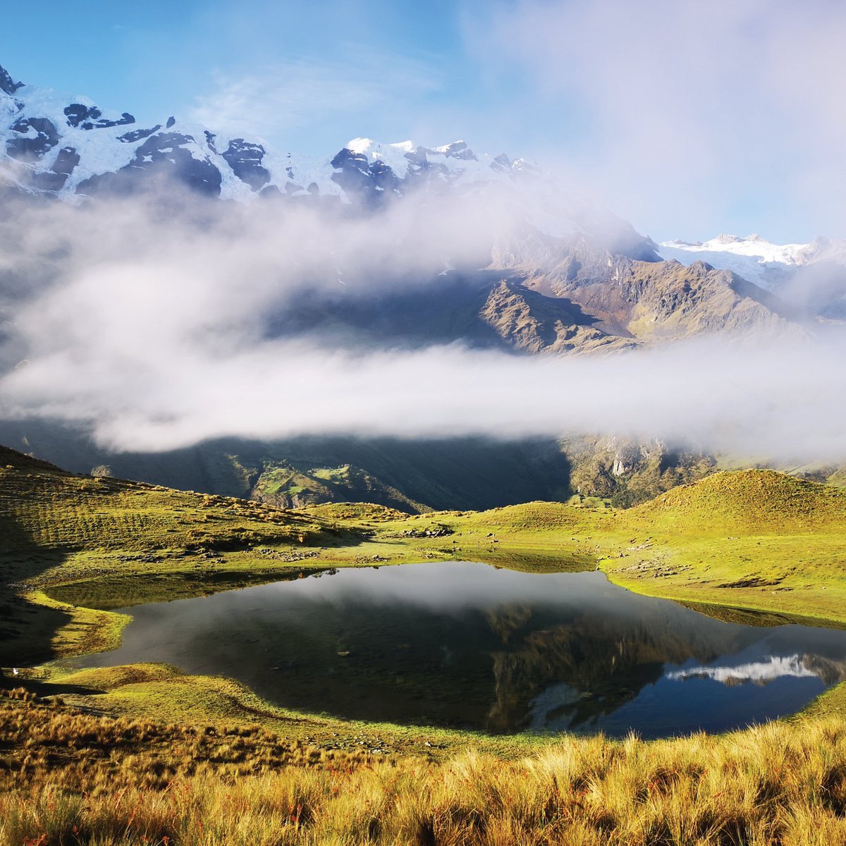 KeyBiodiversity's tweet photo. 🌱236 KBAs have been confirmed in Peru, covering almost 35% of the country's territory 🇵🇪

‍This is a big step towards preserving the most important sites on the planet for biodiversity and achieving the 30×30 target.

#30DaysofKBAs https://t.co/ZvNrLwn7tl