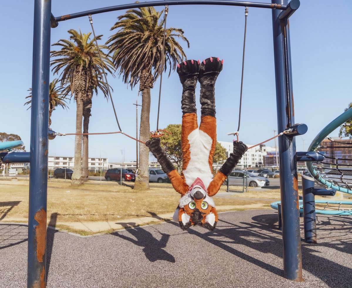 🙃🦇 ʇɐq ɐ ǝɯoɔǝq oʇ ƃuᴉuᴉɐɹʇ 📸: @ChatahSpots