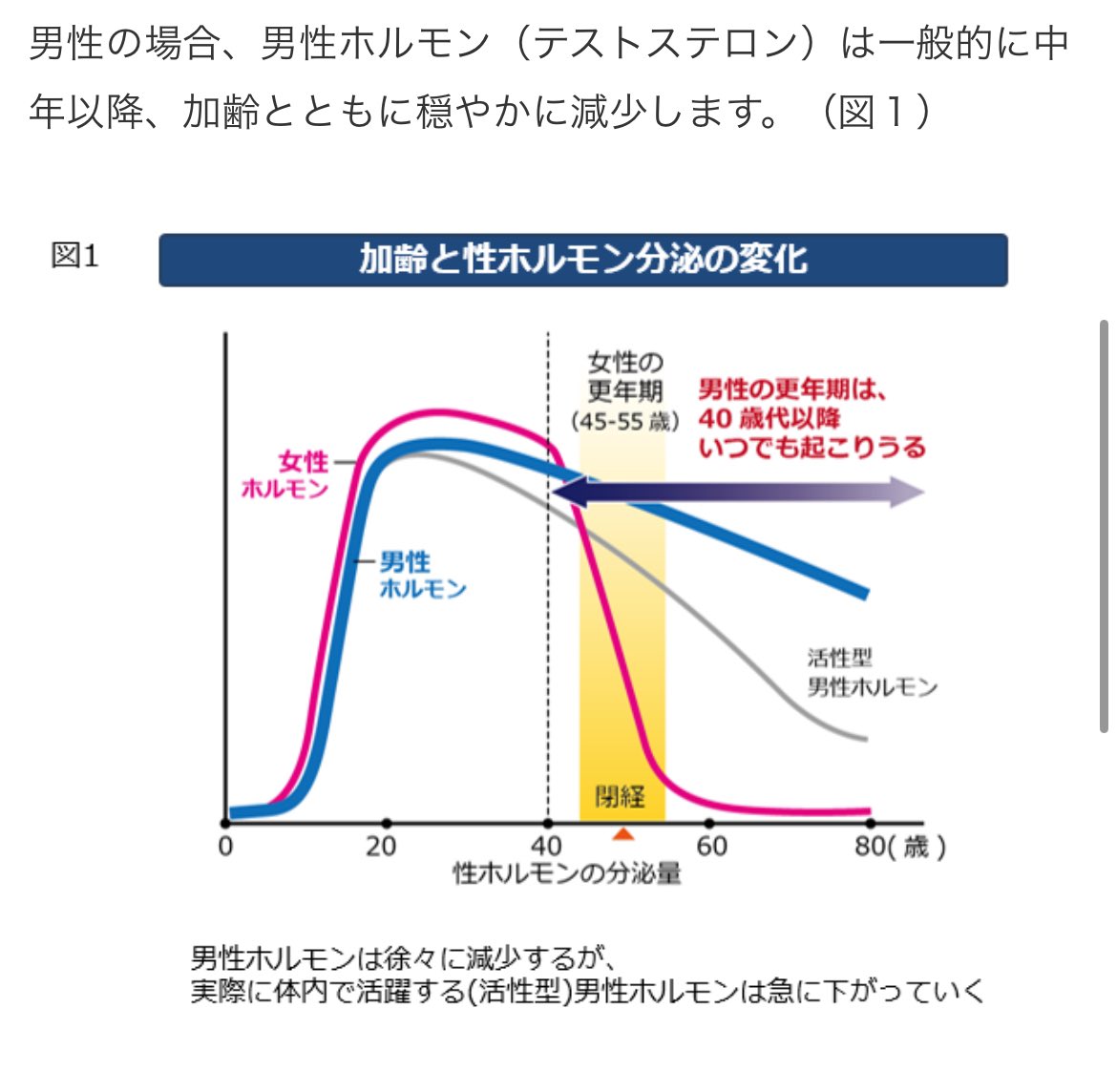 暇アノン（女叩き＆男子大学生への偏愛行動）に中高齢者が多いのは、男性ホルモンが低下しているからかね