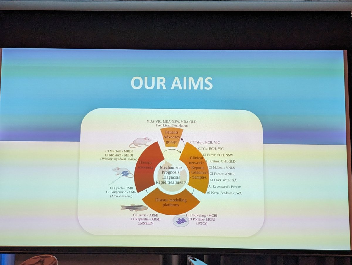 ANNetwork tweet media