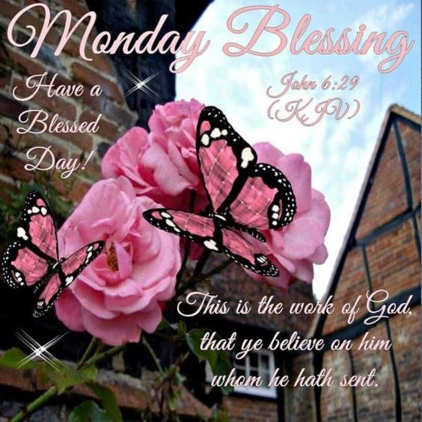 Monday Blessings #WVHP 
#MondayMorning #MondayMotivation #MondayMood #MondayVibes #MondayBlessings #MondayMessage #MondayBlessing