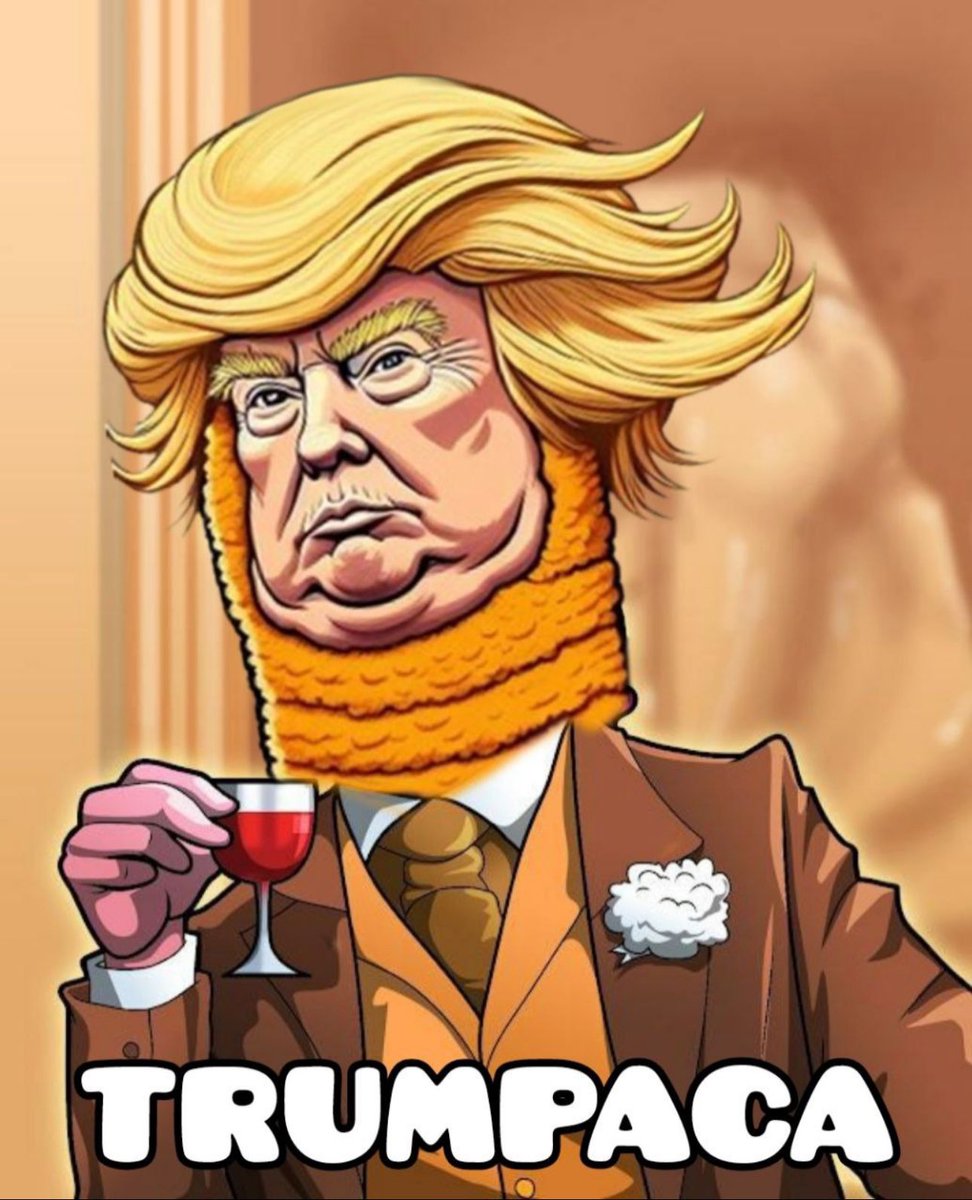 Bigpappa__C's tweet photo. @TrumpacaSOL #memeable #trump #Trumpaca https://t.co/B3e5Yj3bK2