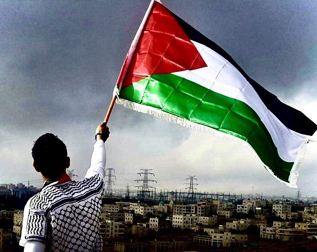 #FreePalestine #FreeGaza #FreeRafah #stopgenocide
