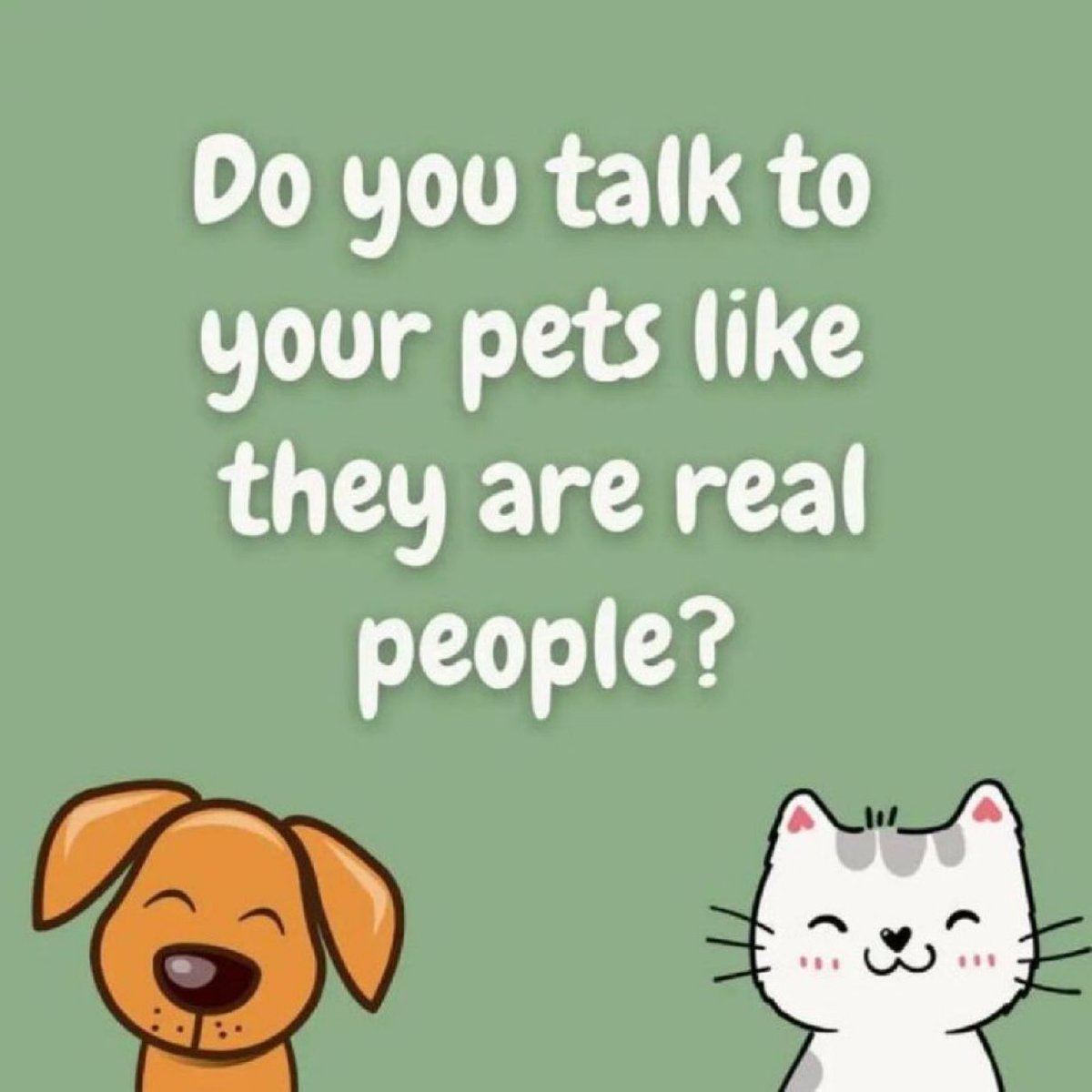 Phil Sledge tweet media