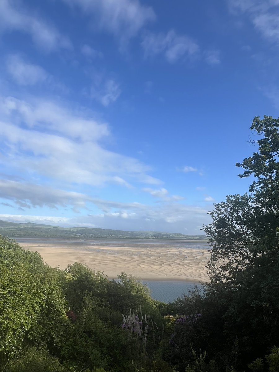 Miss Dobbin tweet media