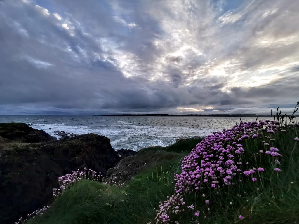 Sunset over Waterford Harbour tonight #Hookpeninsula #Wexford.